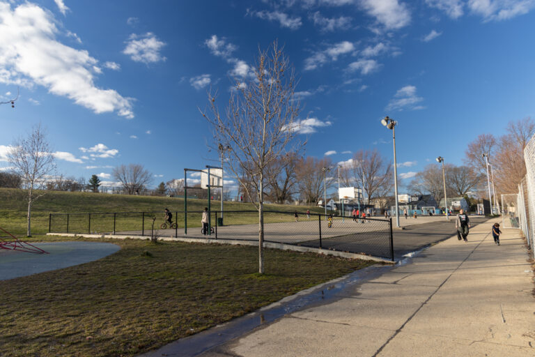 People walking around at a park on a sunny day