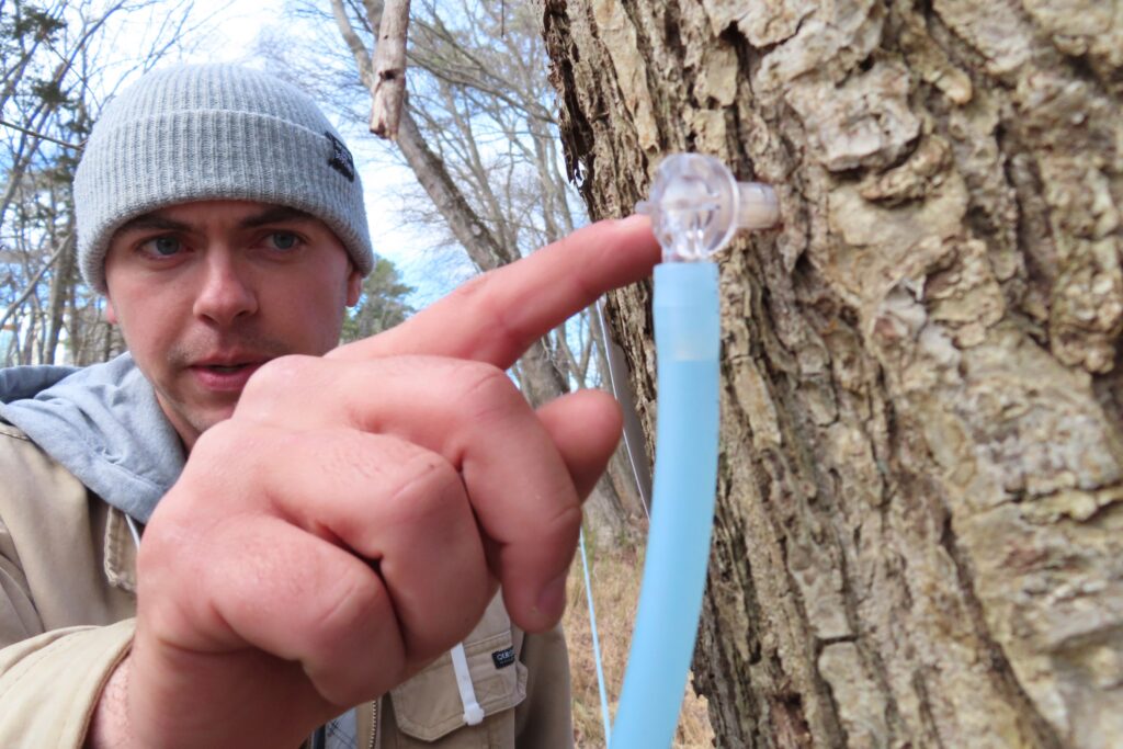 AP24079630516597 Ryan Hegarty, assistant director of Stockton University's Maple Project