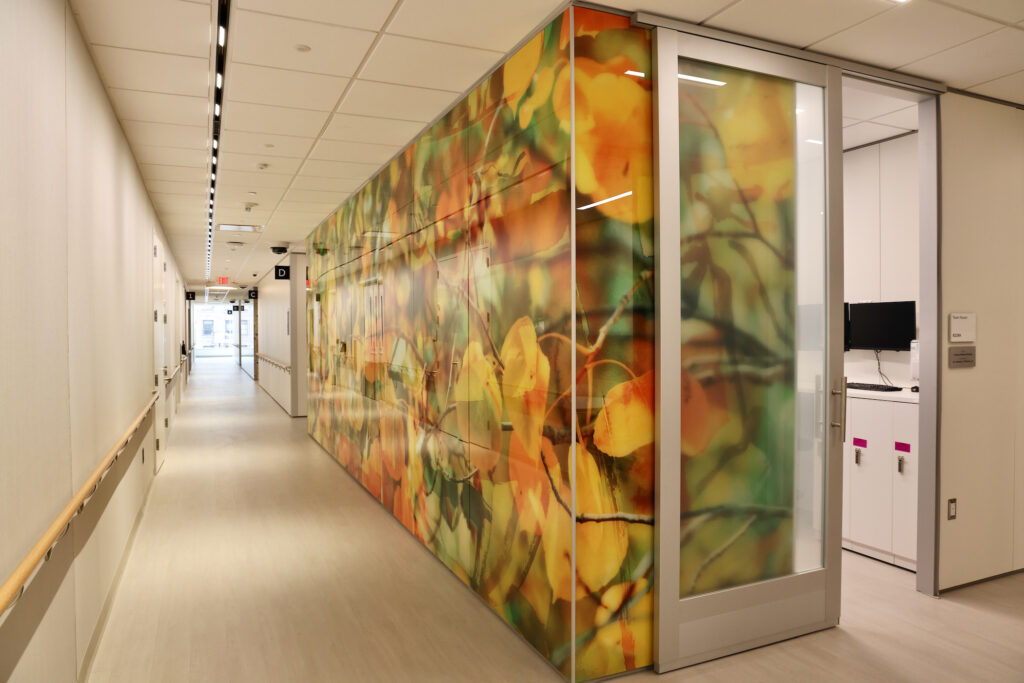 2024 04 09-e lee-philadelphia honickman center-accessibility nature art a hallway at the Honickman Center with a colorful and calming wall