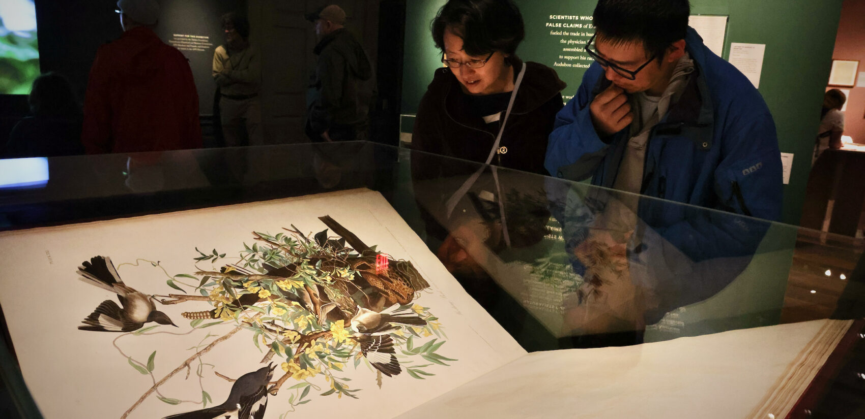 VIsitors look at one of Audubon's paintings