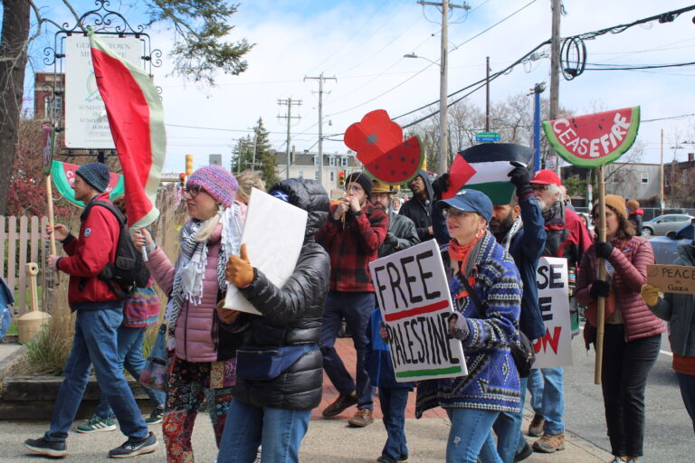 people marching in the street for a ceasefire