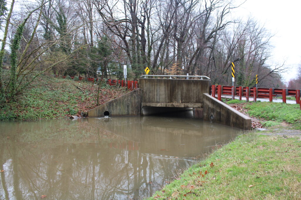 Flooding aftermath