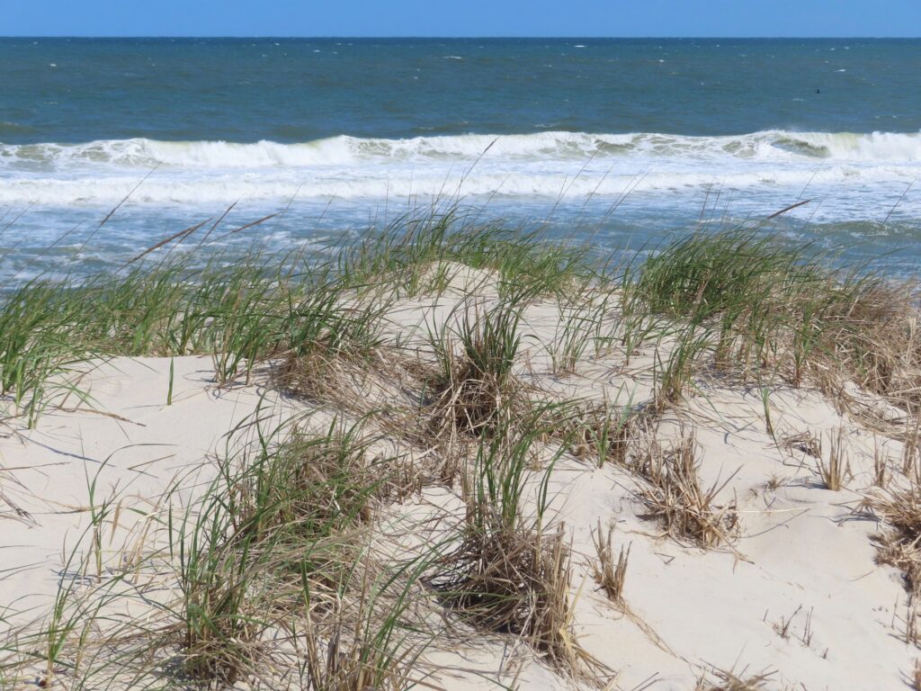 new-jersey-shore-offshore-wind-2024-04-25-2 The ocean horizon at Long Beach Township