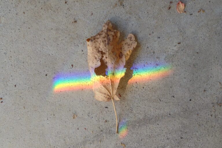 Photo submission to past Philly Photo Day. (Victor Hugo Zepeda, 2012)