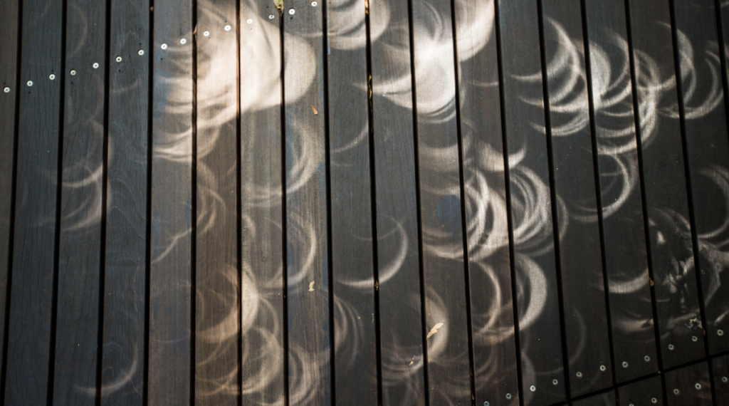 Pinhole shadows show crescent shapes in 2019 as the moon moves in front of the sun