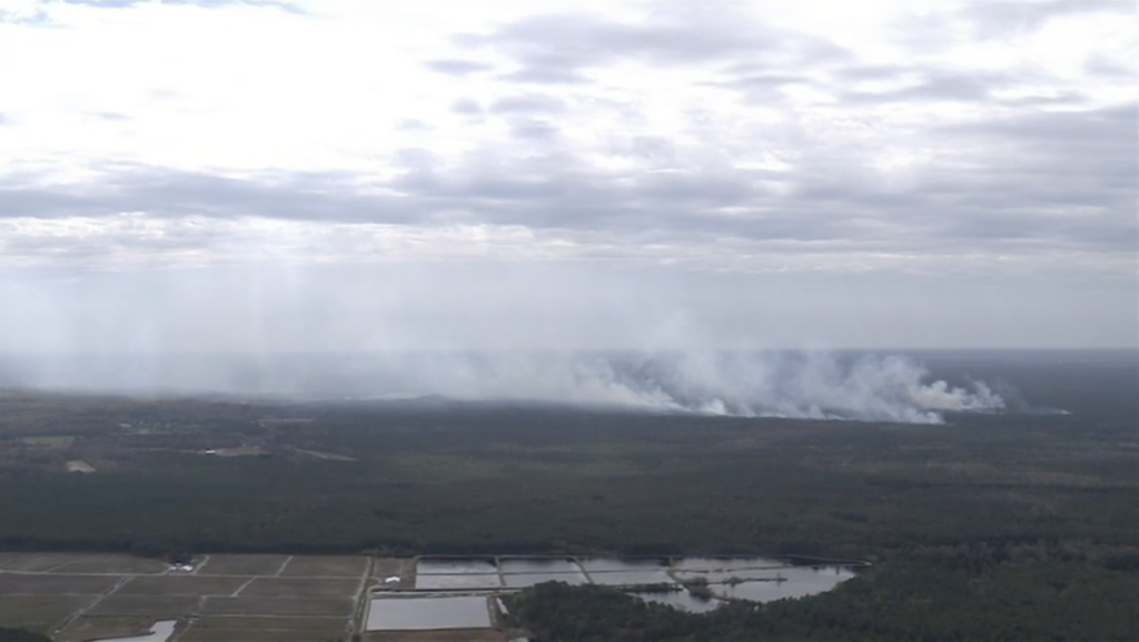wildfire-new-jersey-camden-burlington-counties-2024 A N.J. wildfire