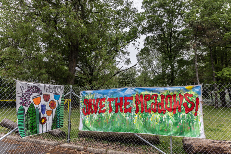 two signs read save the meadows!