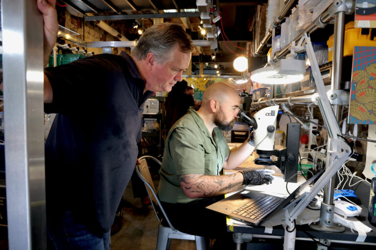 one scientist looks in a microscope and the other looks at a computer screen