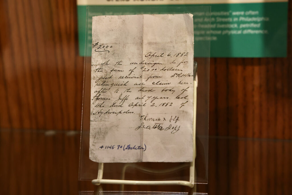 part of the exhibit