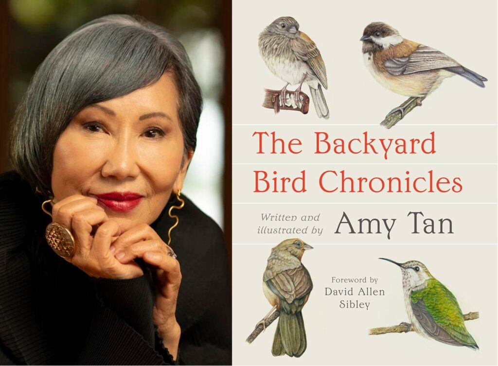 amytan Kim Newmoney/Penguin Randomhouse