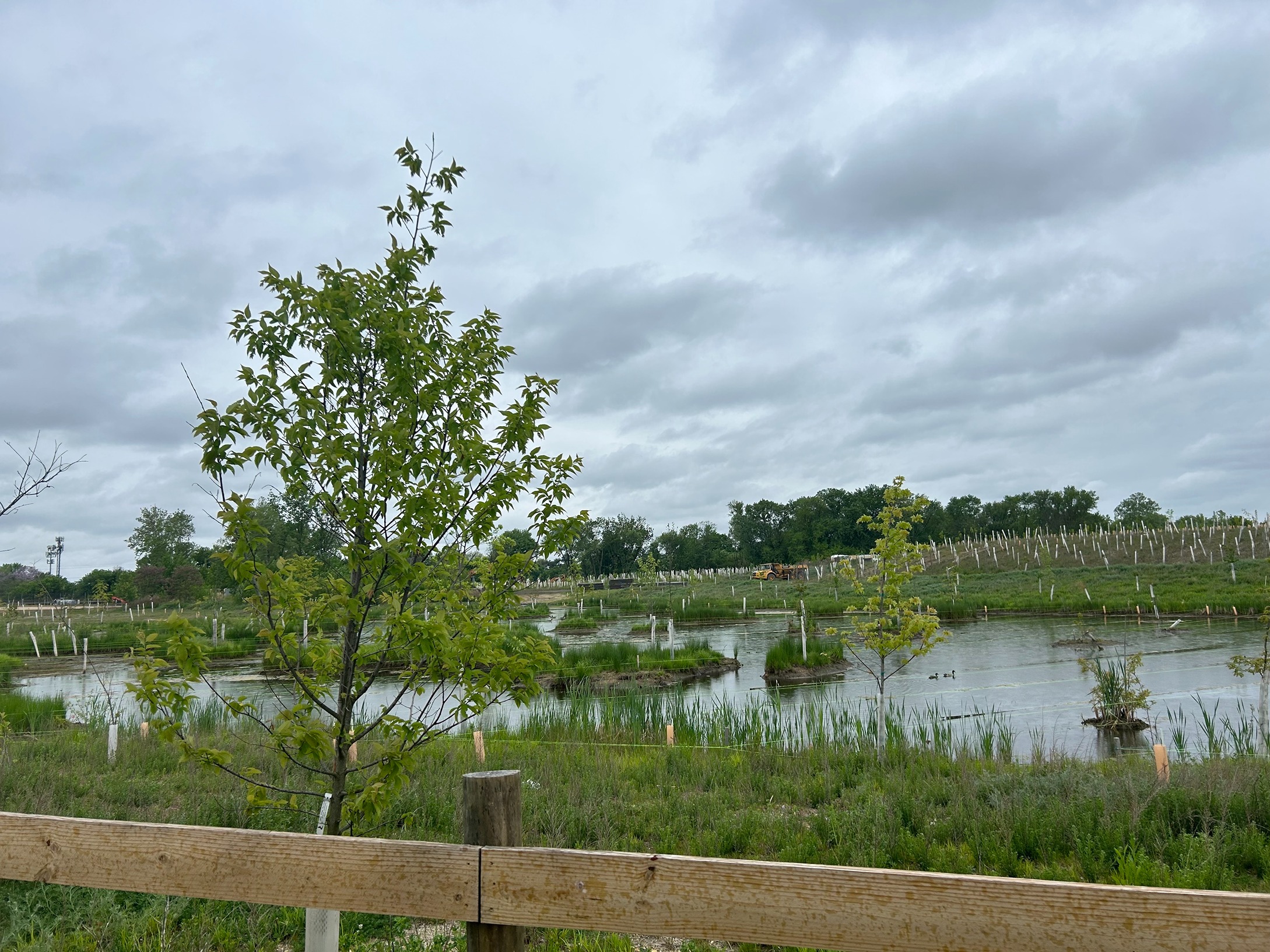 wetlands