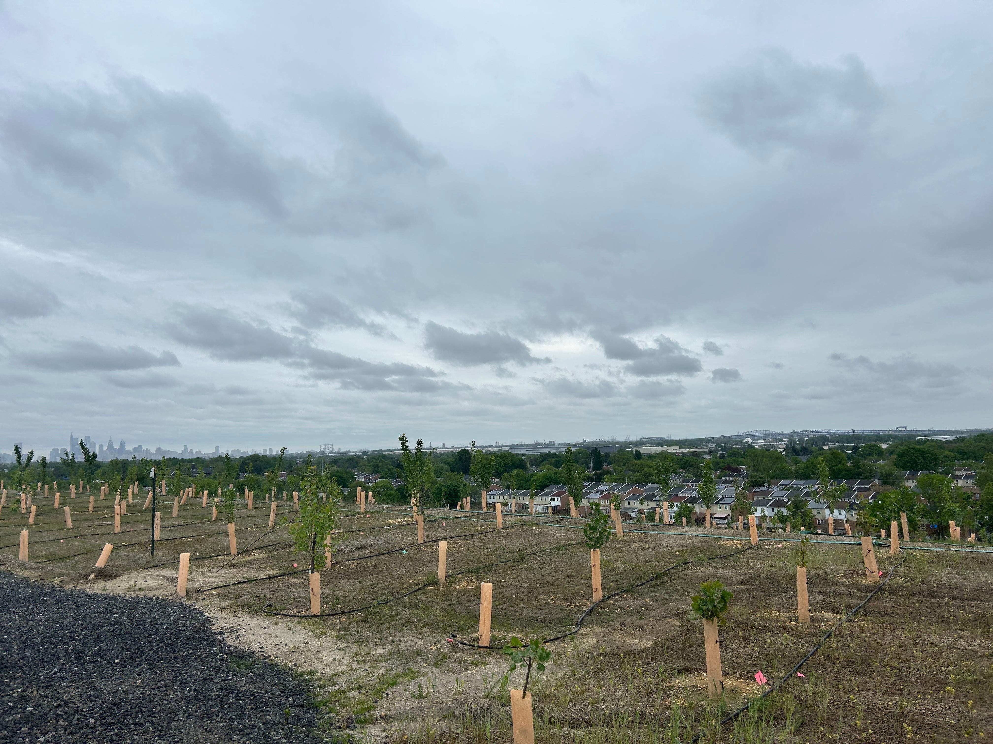 rowhomes by the Clearview Landfill