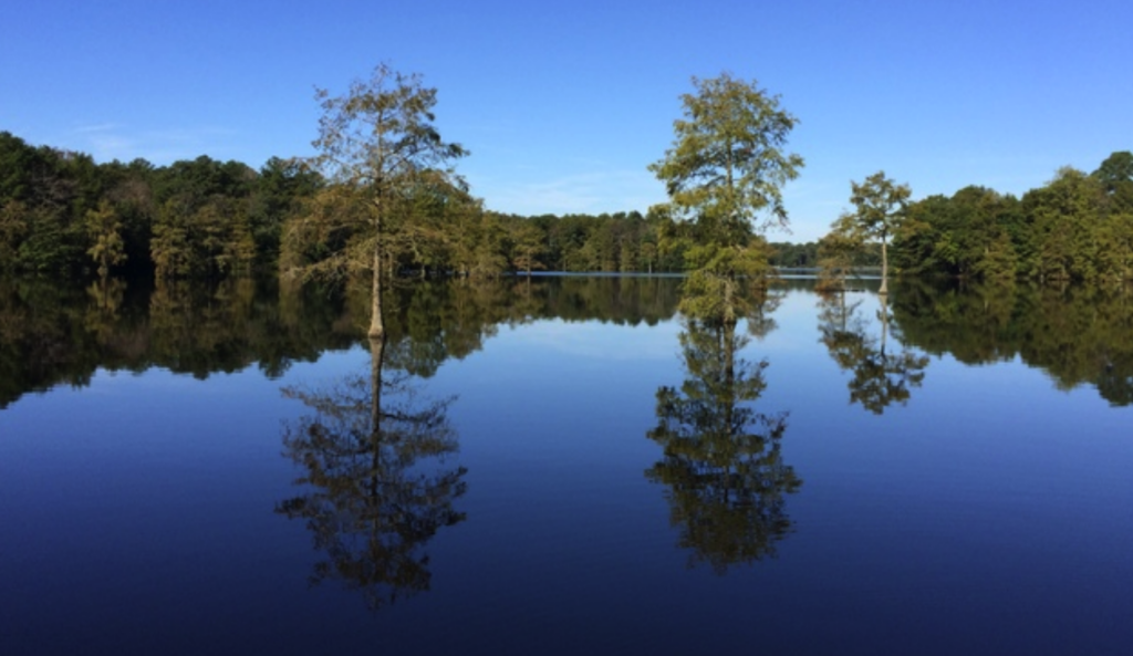 wetlands