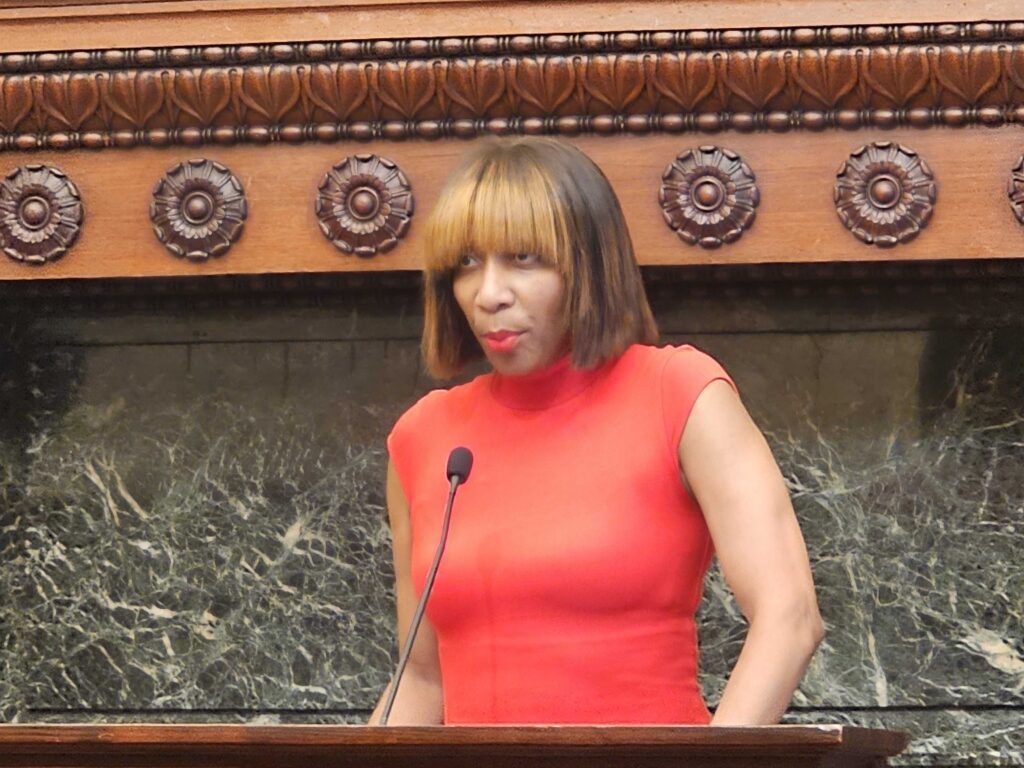 Oshunbumi “Bumi” Fernandez-West speaking at a podium