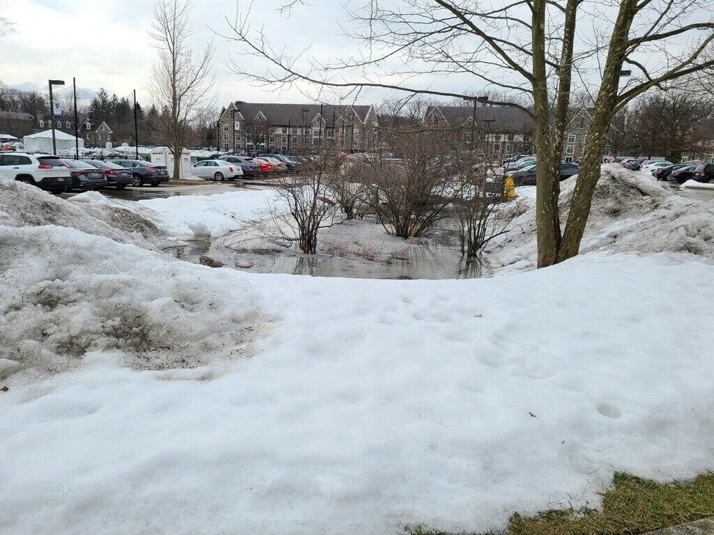 Rain garden