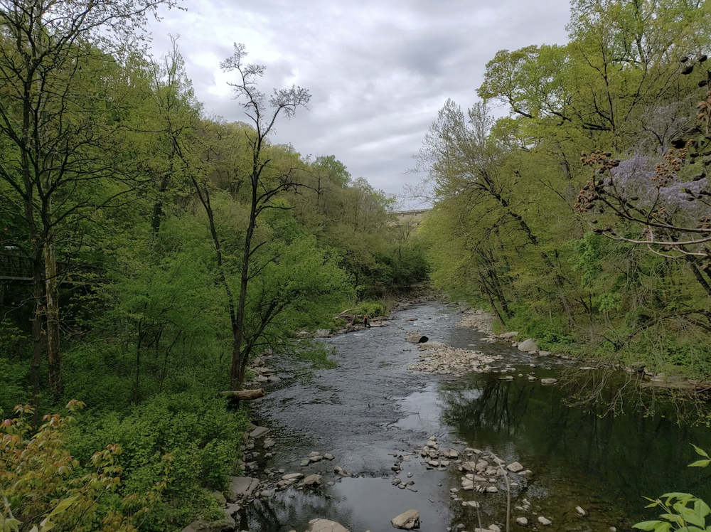The Wissahickon creek