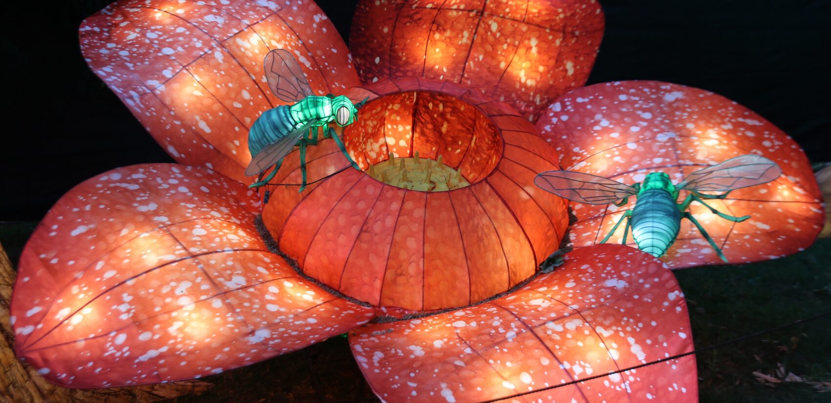 More than 100 people spent nearly 30,000 hours putting together the handmade lanterns for this year’s festival. (Cory Sharber/WHYY)