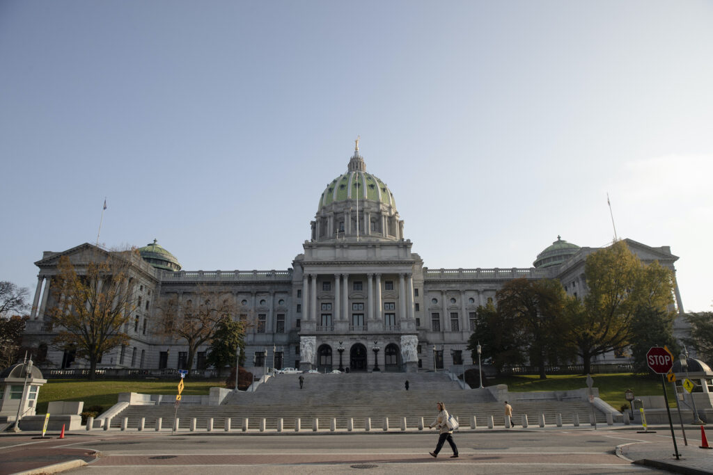 Election 2024 State Legislatures Capitol building