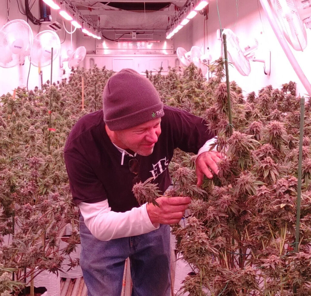 delaware-recreational-weed-stores-2024-david-rohrer David Rohrer of The Farm tends to marijuana plants. The company is eligible for a conversion license.
(Courtesy of Bill Rohrer)