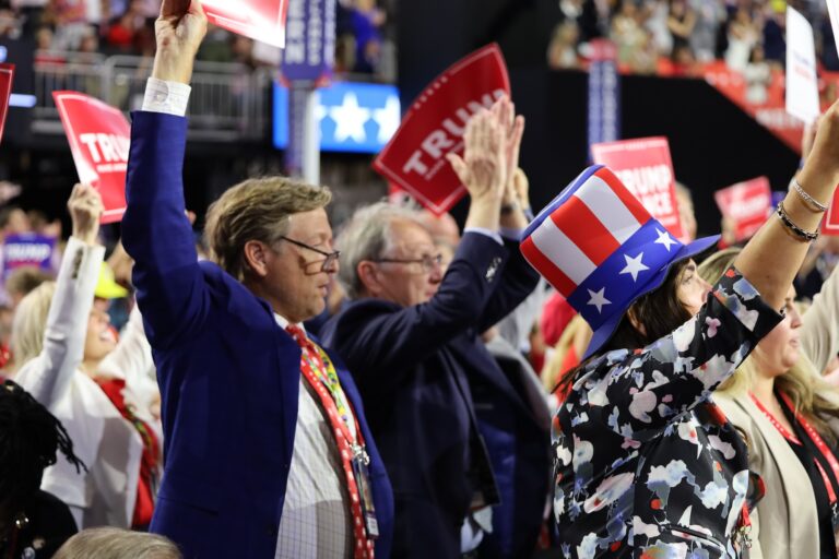 Delegates and supporters cheer at the convention
