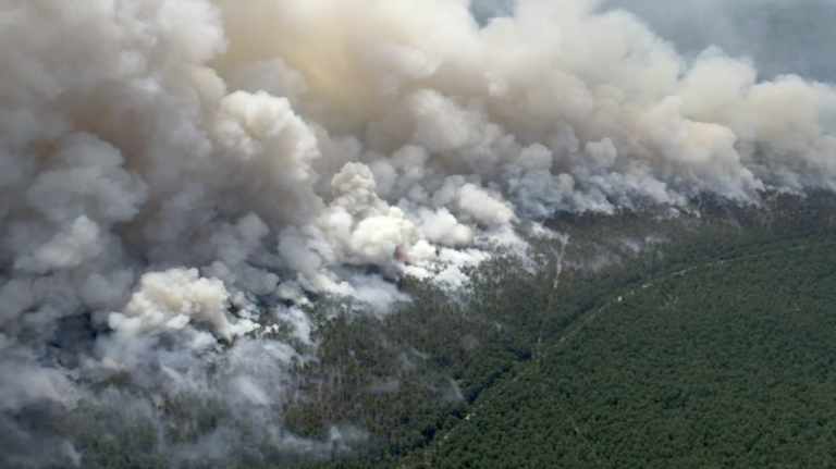 A large brush fire at Wharton State Forest on Friday, July 5, 2024. (6abc)