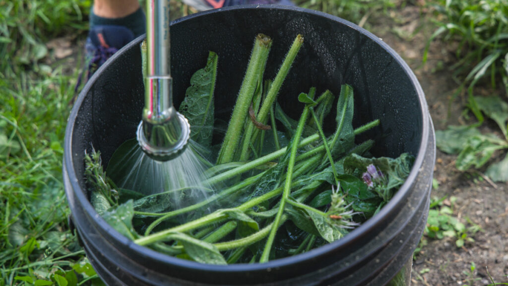 organic fertilizer 