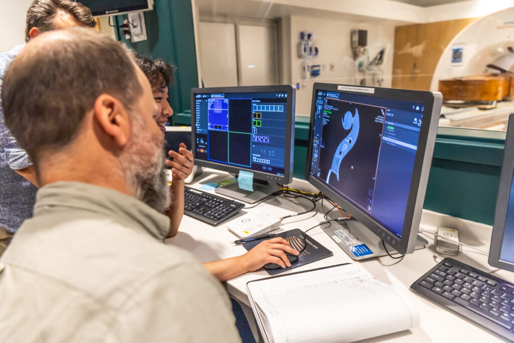 Scanning the instrument