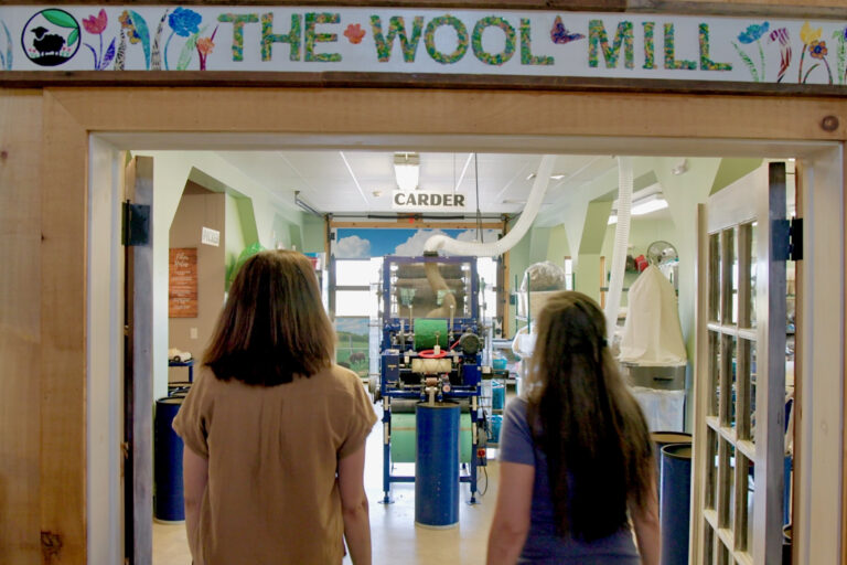 Melissa Smith and Susan Phillips walk into The Wool Mill