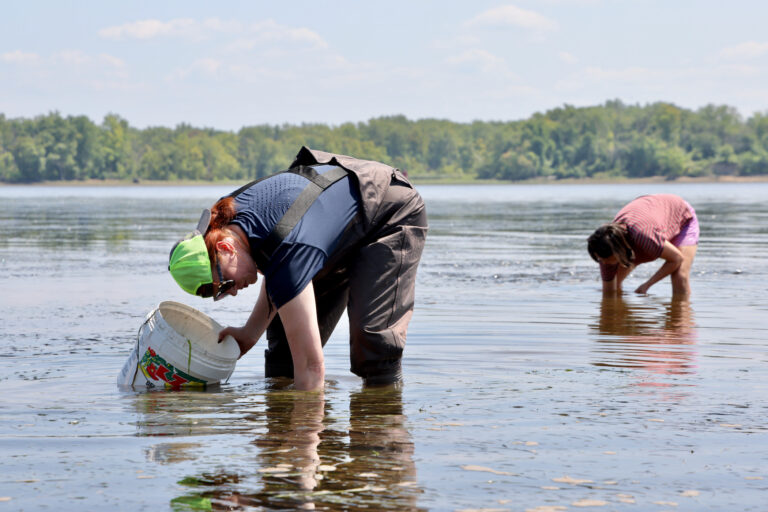 Two volunteers with their hands in the water