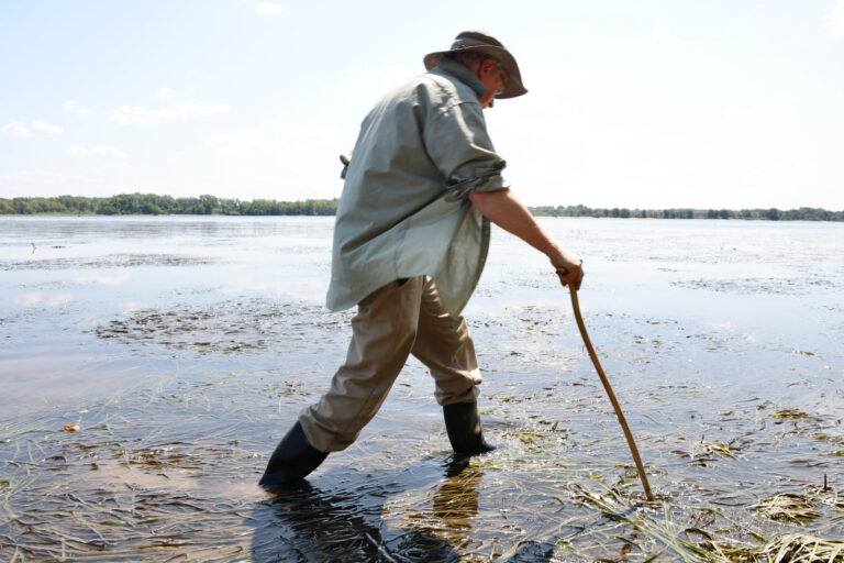 Roland Williams walks through the water with a cane