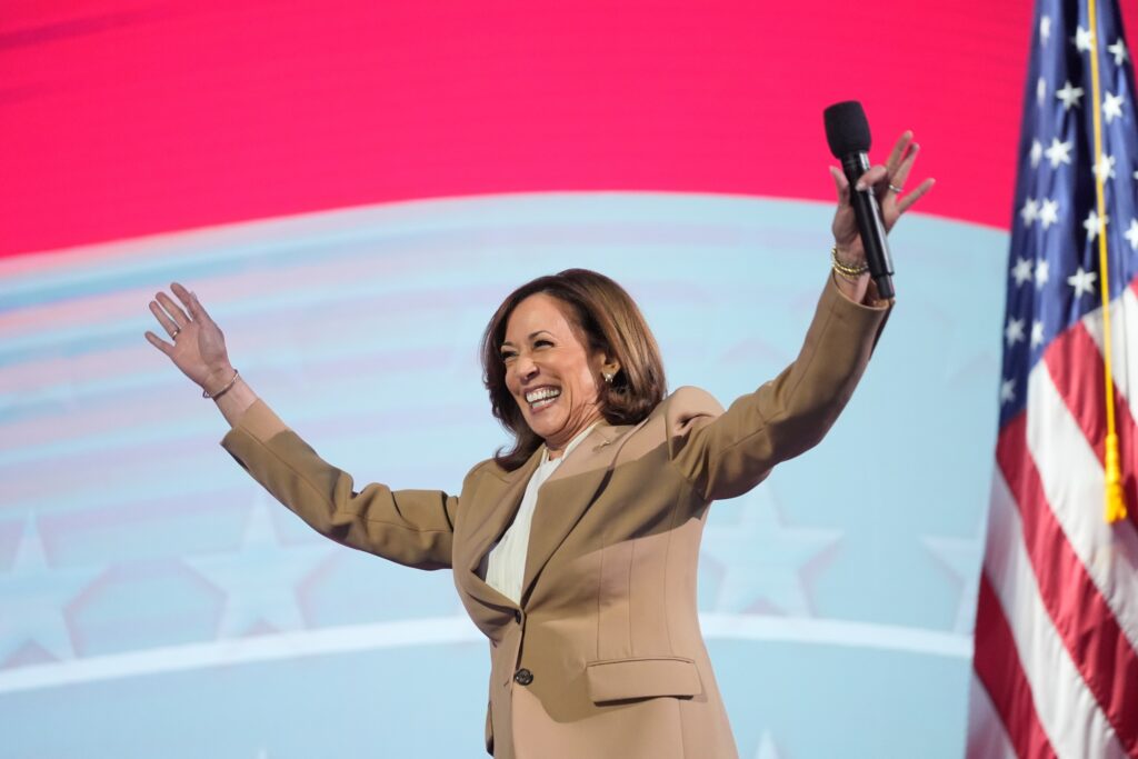 kamala-harris-2024-08-18 Democratic presidential nominee Vice President Kamala Harris speaks during the Democratic National Convention Monday, Aug. 19, 2024, in Chicago. (AP Photo/Erin Hooley)