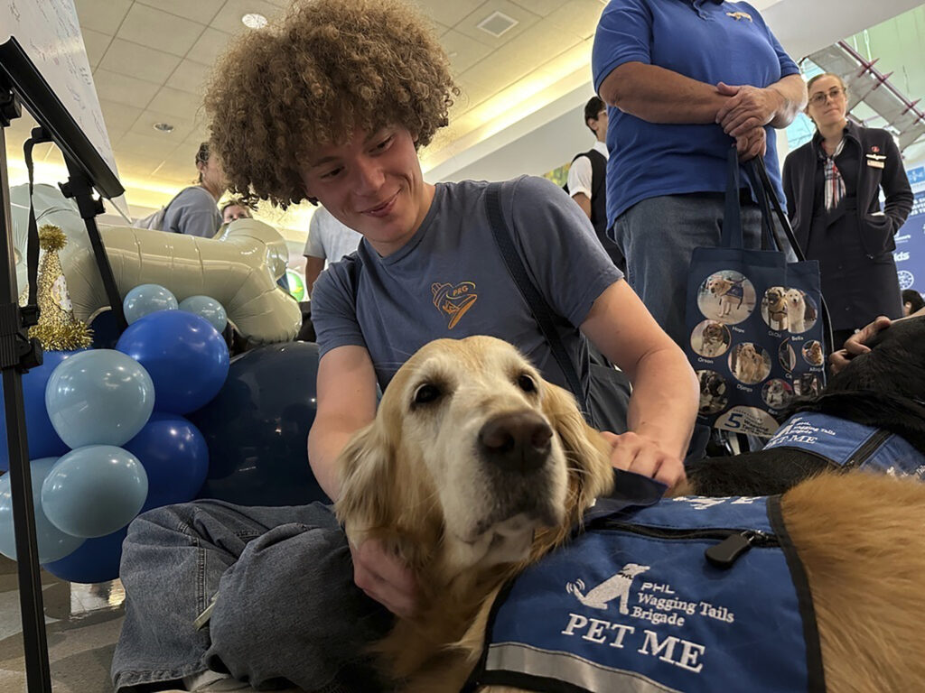 A passenger pets a therapy dog