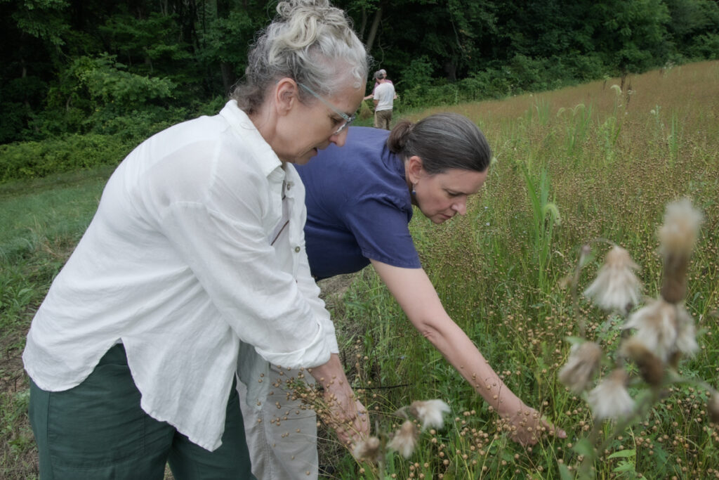 08 24 2024 k paynter rabbit recycling-2 Heidi Barr and Susan Phillips