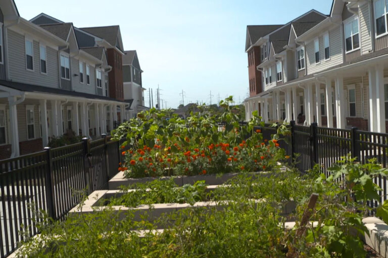 Imani Village homes have been going up at a dizzying pace for the last four years.  Eventually all units in the old Riverside will be razed to make room for the rest of Imani's 700 homes. (