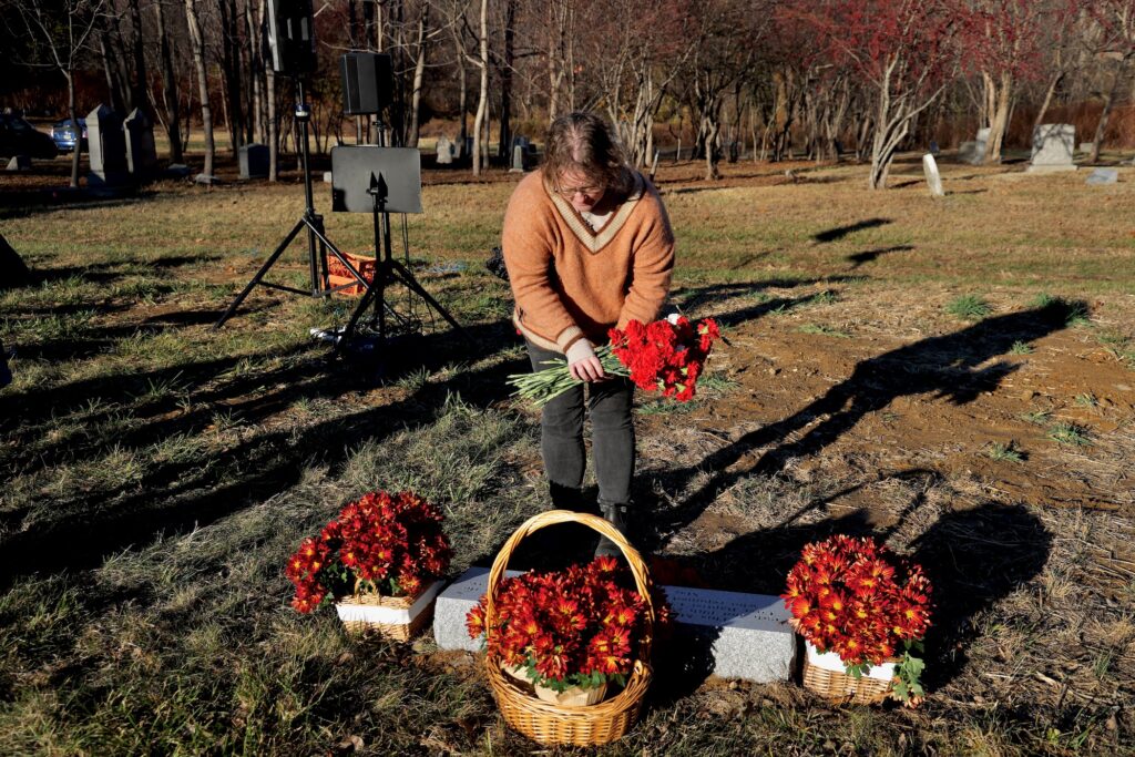2024 11 25-e lee-jennifer odonnell-yeadon pa mount moriah cemetery-arch street reburial carrnations Jennifer O'Donnell of the Friends of Mount Moriah Cemetery lays a bouquet at the reburial site for the remains of nearly 500 people unearthed from a former burial in Old City, Philadelphia. (Emma Lee/WHYY)
