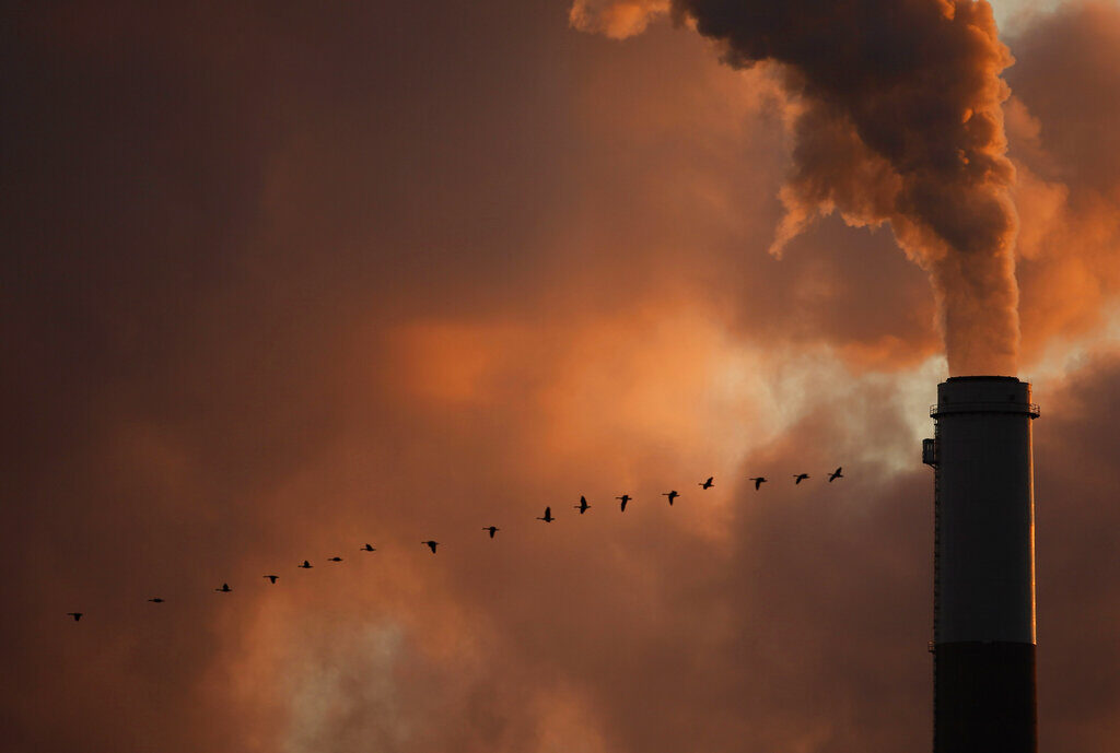 Biden Endangered Species A flock of geese fly past a smokestack at a coal power plant near Emmitt, Kansas. (AP Photo/Charlie Riedel)