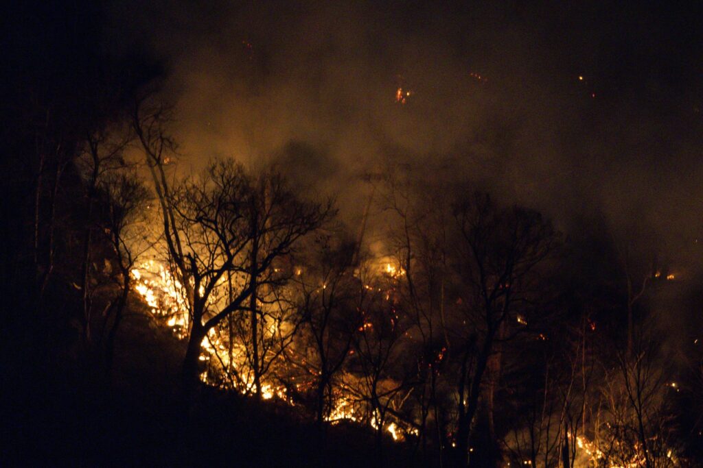 New Jersey Wildfires Wildfires burn