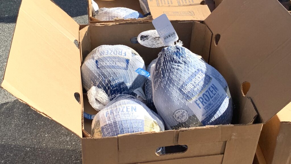 Turkeys at mobile food pantry