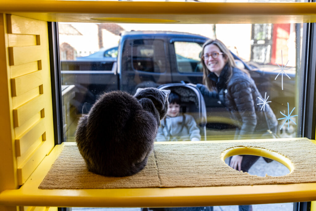 12 30 2024 k paynter get a gato cat cafe-4 A cat is seen inside Philly's Get a Gato cat cafe, while a woman and a young child peek in from the outside