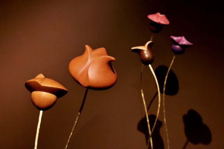 flowers by Mark Sfirri