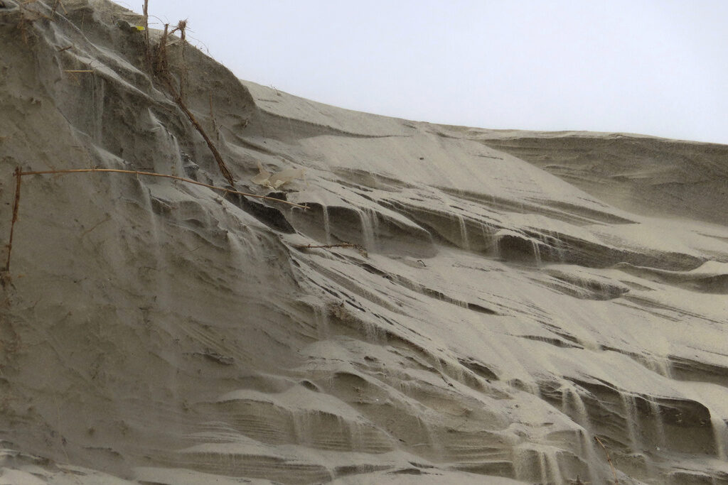 Defiant Beach Town Sand cascades down the badly eroded face of a dune in North Wildwood, N.J. on Feb. 24, 2023. (AP Photo/Wayne Parry, FILE)