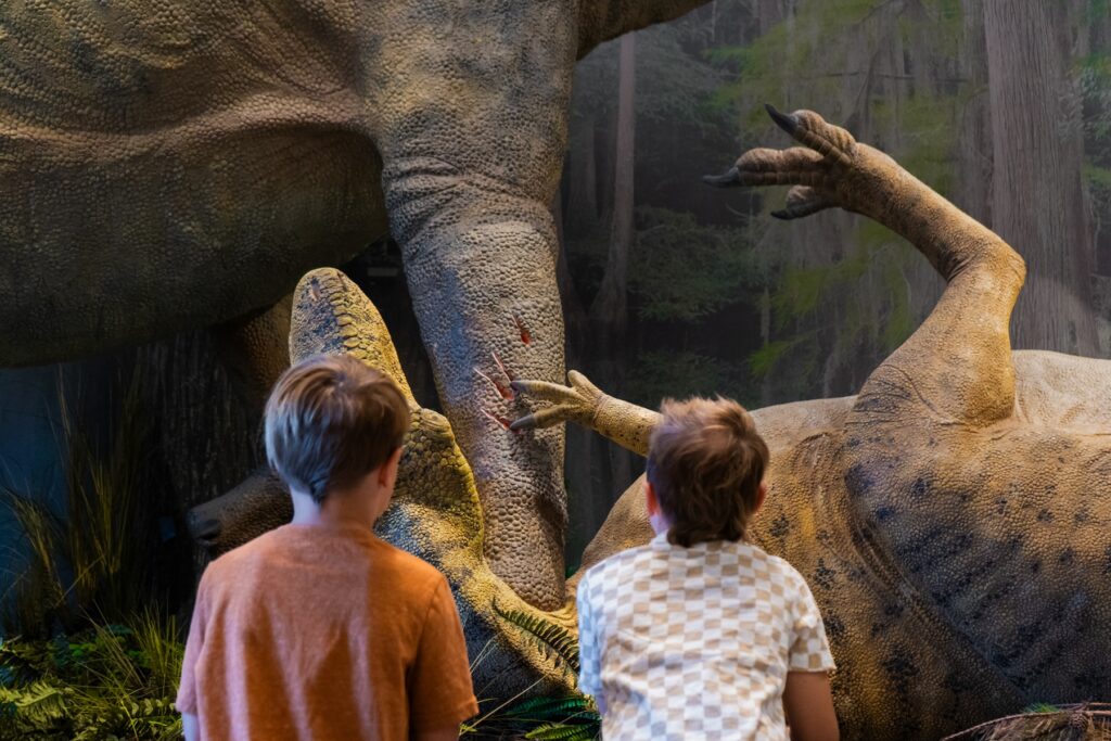 Edelman Fossil Park & Museum