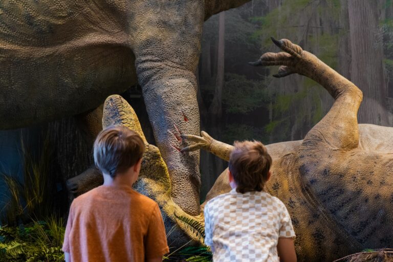 Edelman Fossil Park & Museum