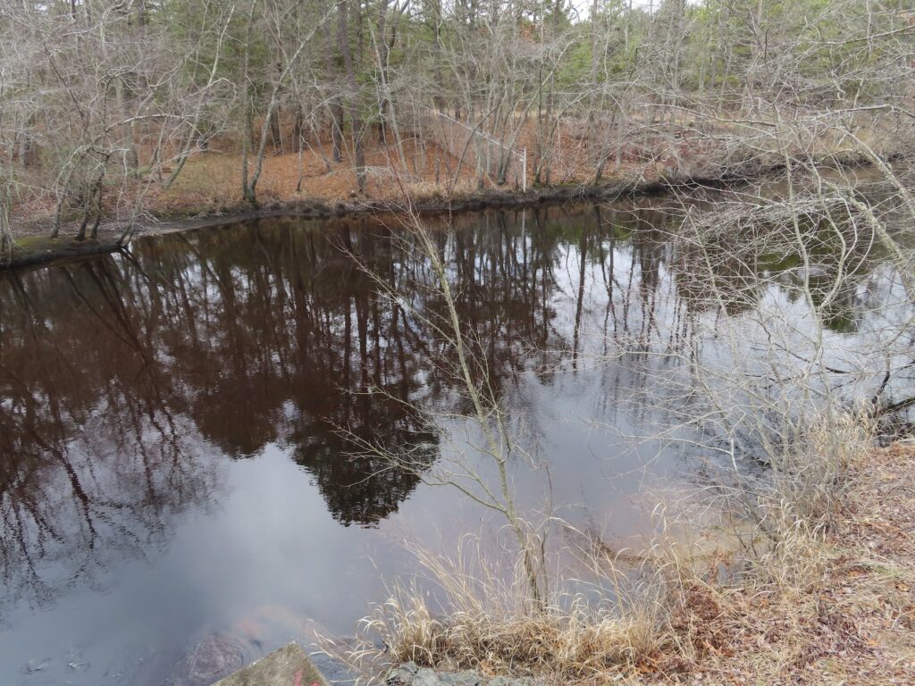 Toxic Waste Settlement Trees reflected in Toms River