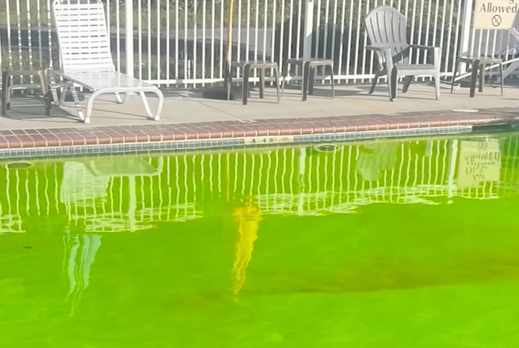 dye-packs-new-jersey-drone a pool dyed green
