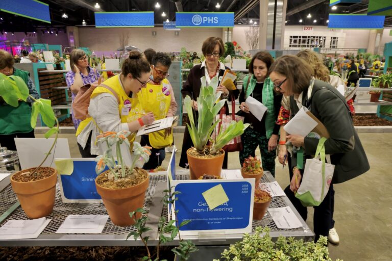 Intricate floral designs on display at the flower show