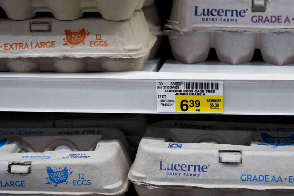 Egg Prices Eggs on a shelf in a supermarket