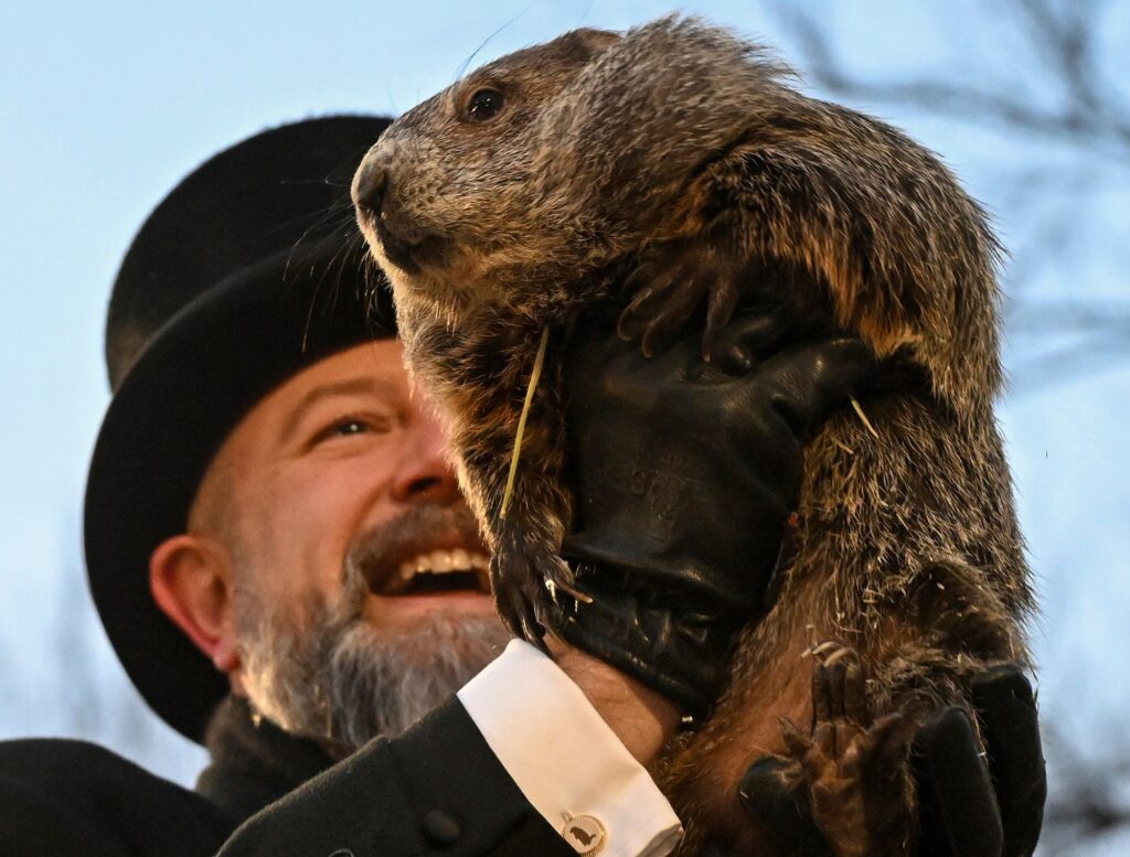 Punxsutawney-Phil-2025-02-02 Groundhog Club handler A.J. Dereume holds Punxsutawney Phil