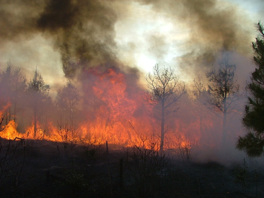 delaware-wildfire-sussex-county-file a wildfire burning