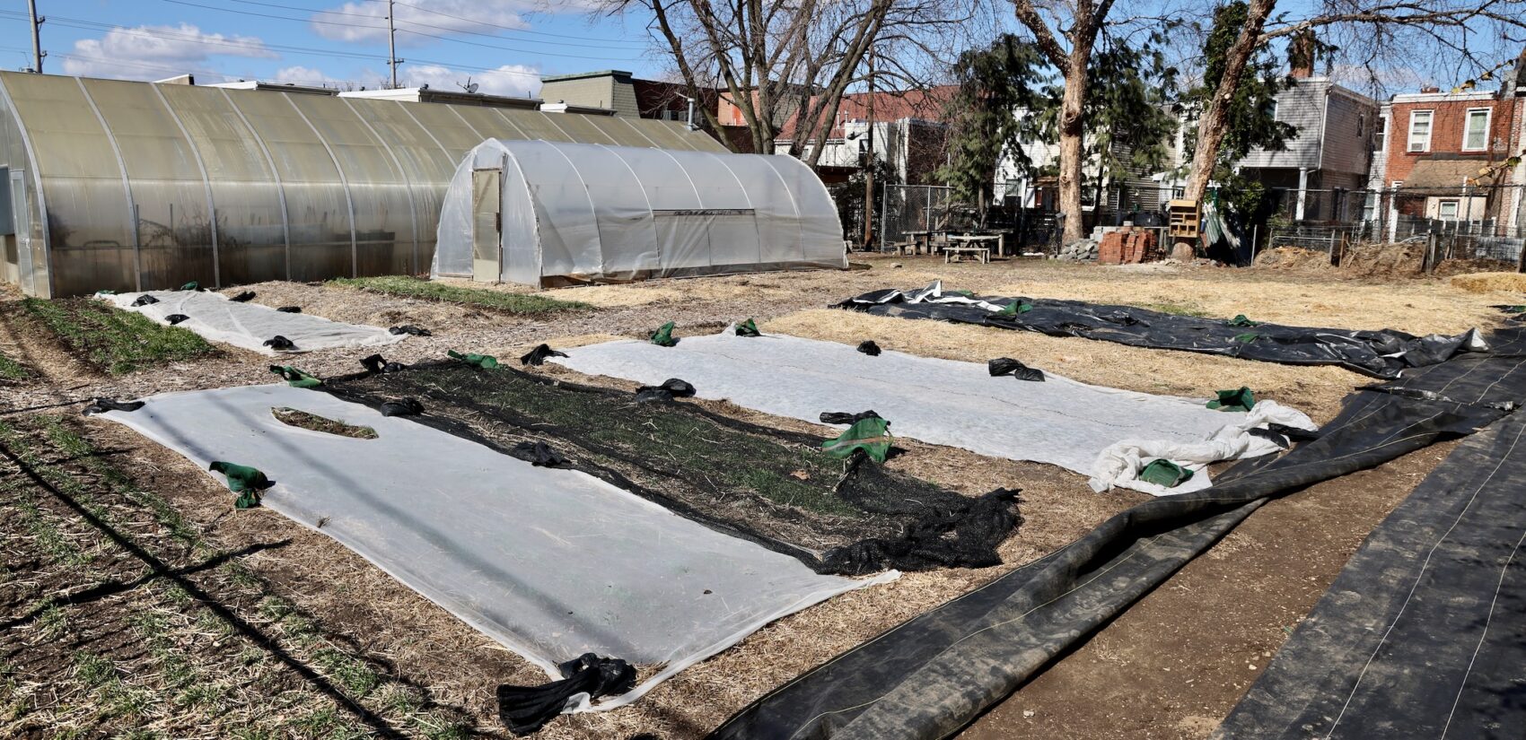 Community garden on Emerald Street in Camden